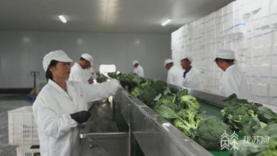 重磅发布！2026年中央一号文件全文来了！(图1)