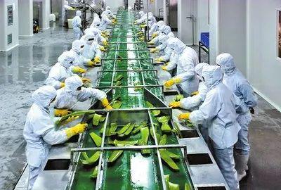 农业农村部:加快推进农产品初加工机械化高质量发展(图1)