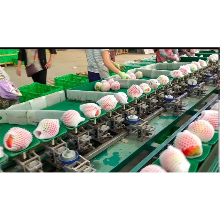 泰禾智能涨025%成交额554345万元近3日主力净流入-185632万(图1)