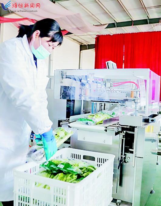 【东西部协作在陇原】科技赋能延链强基——南开大学助力庄浪县发展丹参产业纪实(图1)