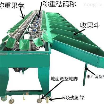 【金昌】金川区有机果蔬汁深加工项目加快建设打通产销链条赋能乡村振兴(图1)
