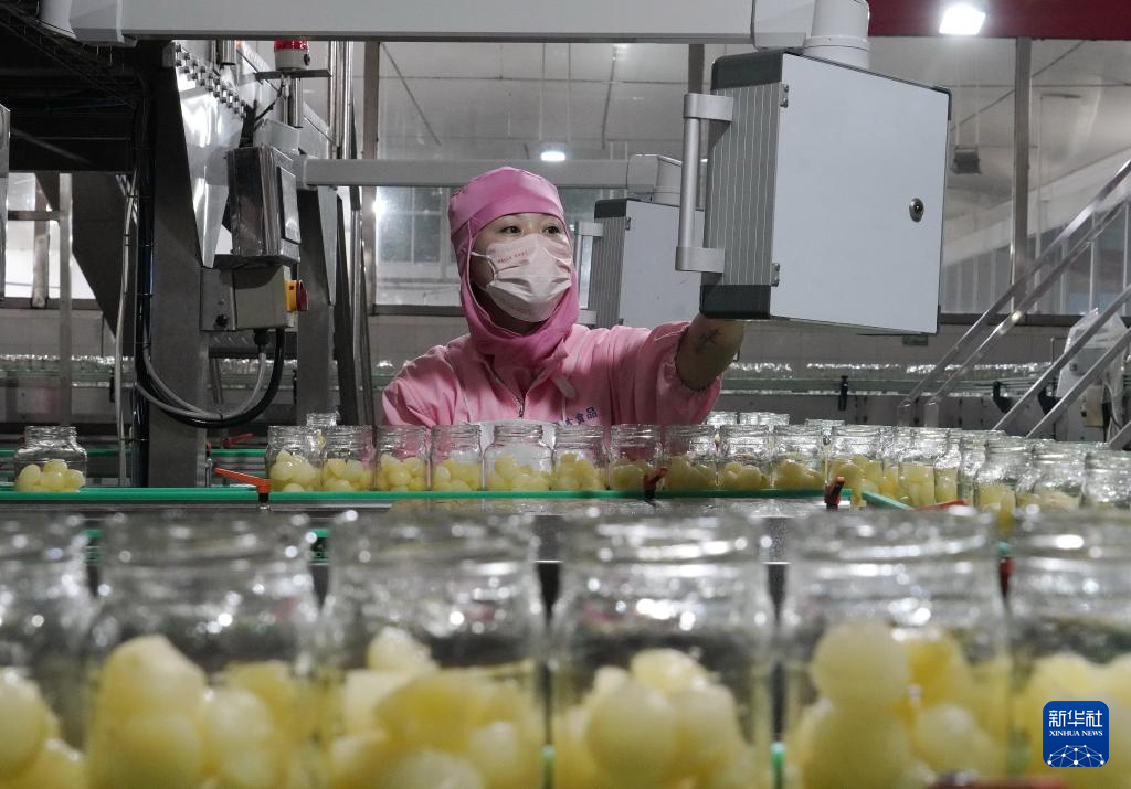 农产品深加工手册(图1)