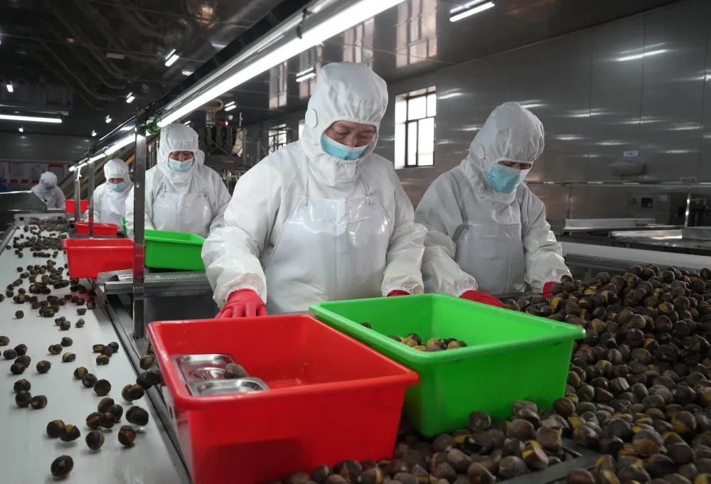 公主岭:做好农产品深加工以产业兴旺赋能乡村振兴(图1)
