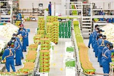 小众桃受追捧、损耗降至3%商超打磨生鲜供应链(图1)