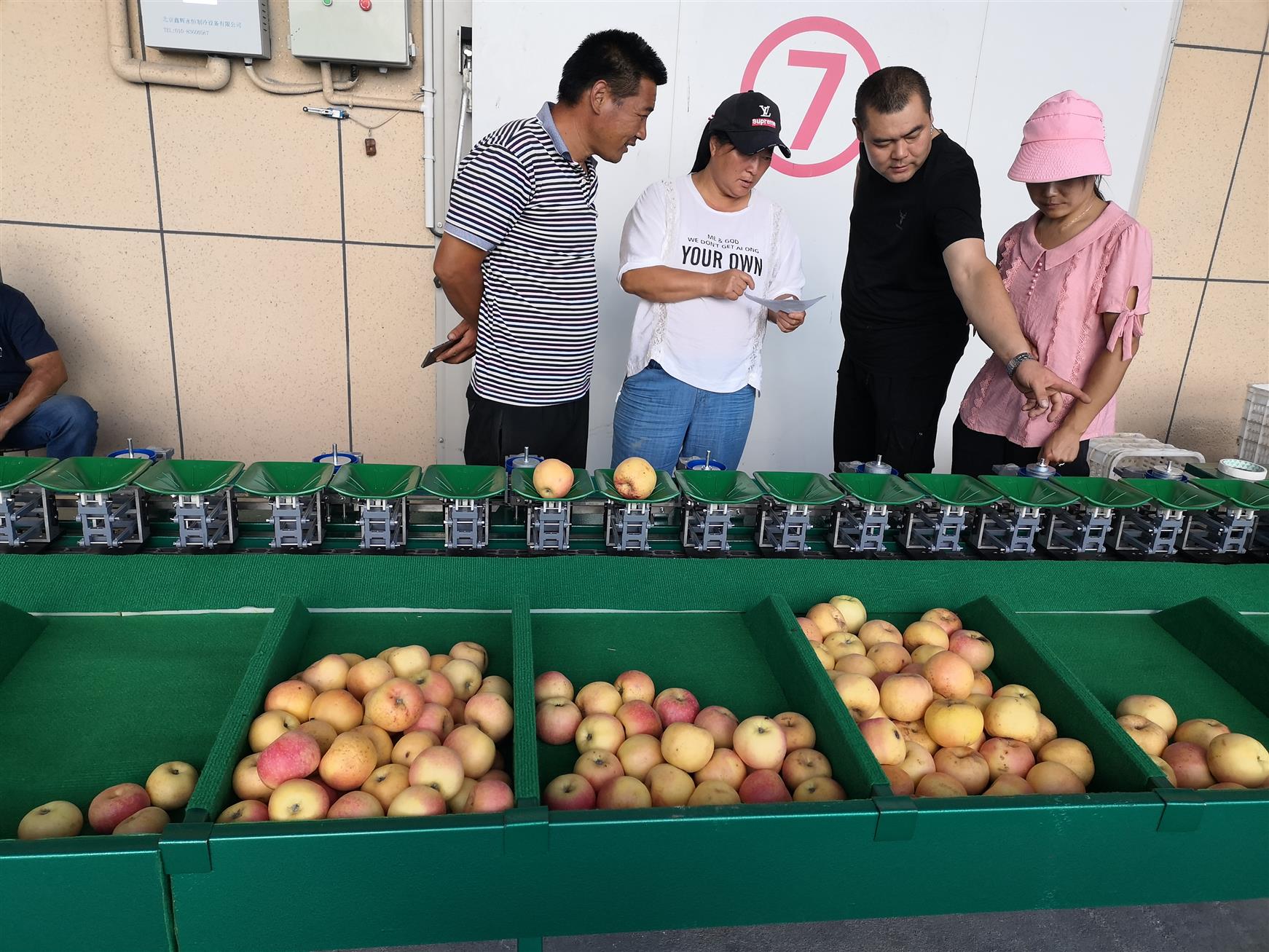 水果分选机及系统的生产技术(图1)