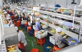 深耕特色产业纳雍构建全链条乡村振兴新格局(图1)
