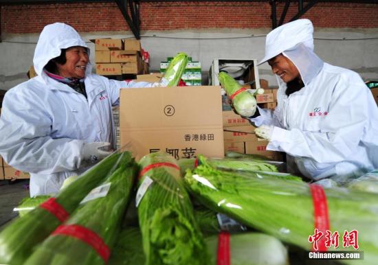 2026中国食品冷链行业市场:早已不是“简单的低温货运配套”(图1)
