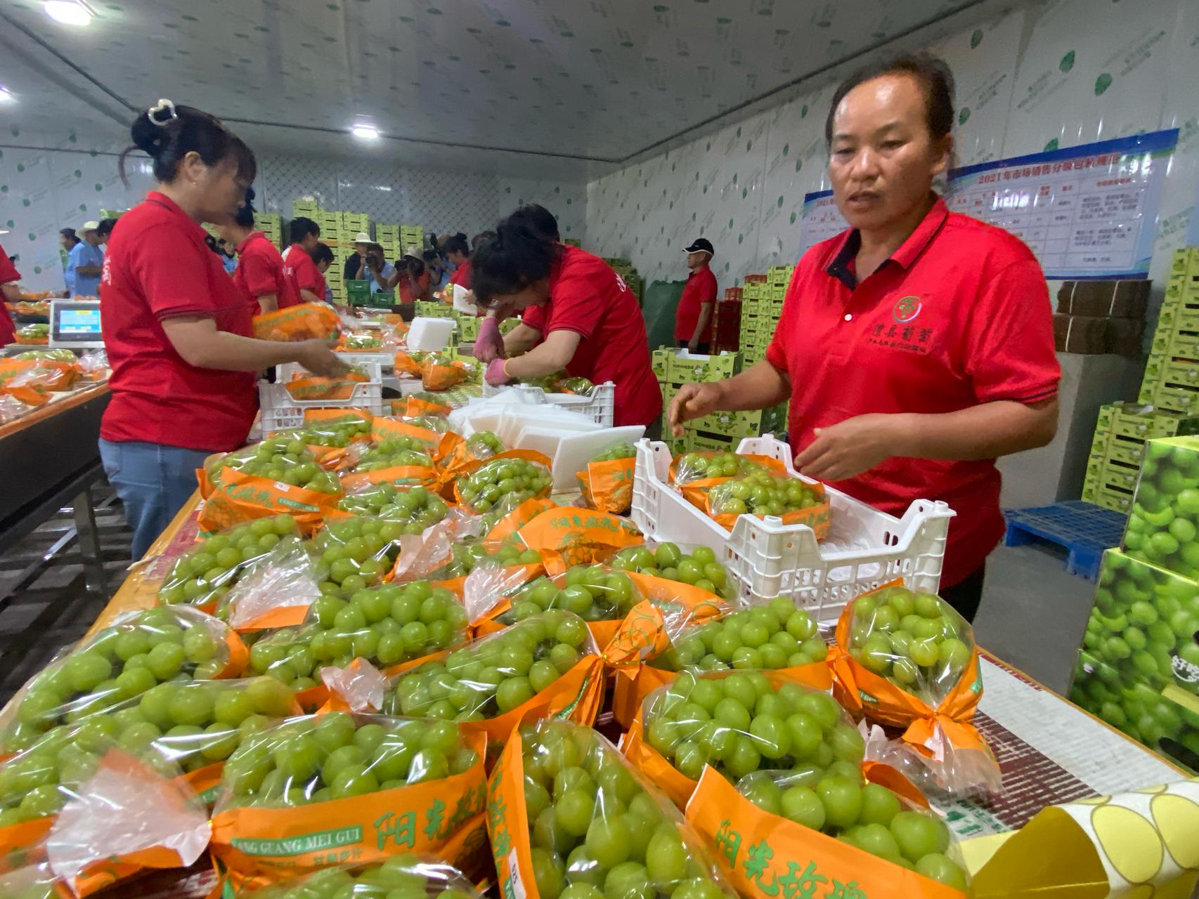 山东省农业科学院农产品加工与营养研究所联合济南市食品工业协会开展高层次专家服务企业专项活动(图1)