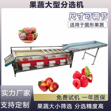 综述:人工智能集成的多感官平台用于园艺作物采后生理变化的实时监测(图1)