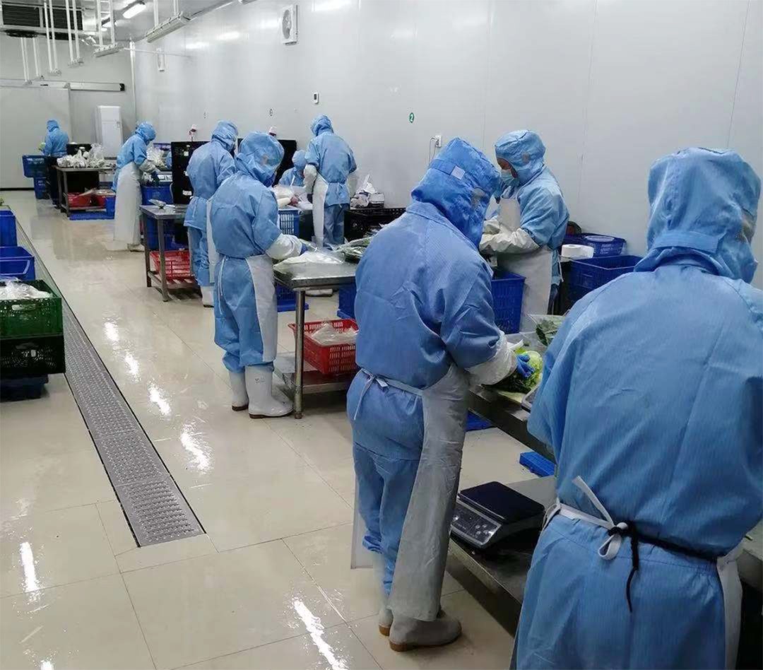 自动杂粮加工设备(图1)