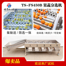 产销协作促发展2026全国苹果产销形势分析会在山西大宁举行(图1)